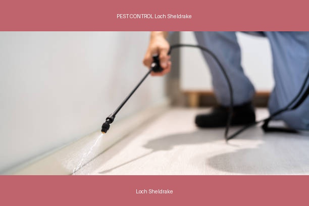 PEST CONTROL Loch Sheldrake